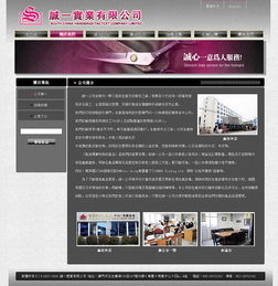 誠一公司仿皮銀包工廠網(wǎng)站初稿制作