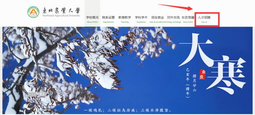 年薪80萬,安家費50萬 ,當高校扎堆招博士