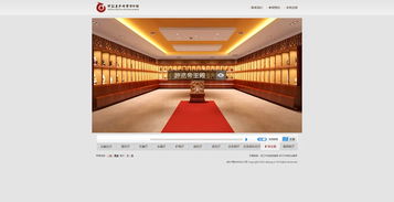 網(wǎng)站設(shè)計(jì) 浙江東方地質(zhì)博物館 網(wǎng)上虛擬博物館