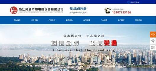 企業(yè)做網(wǎng)站匯編作品保護(hù)